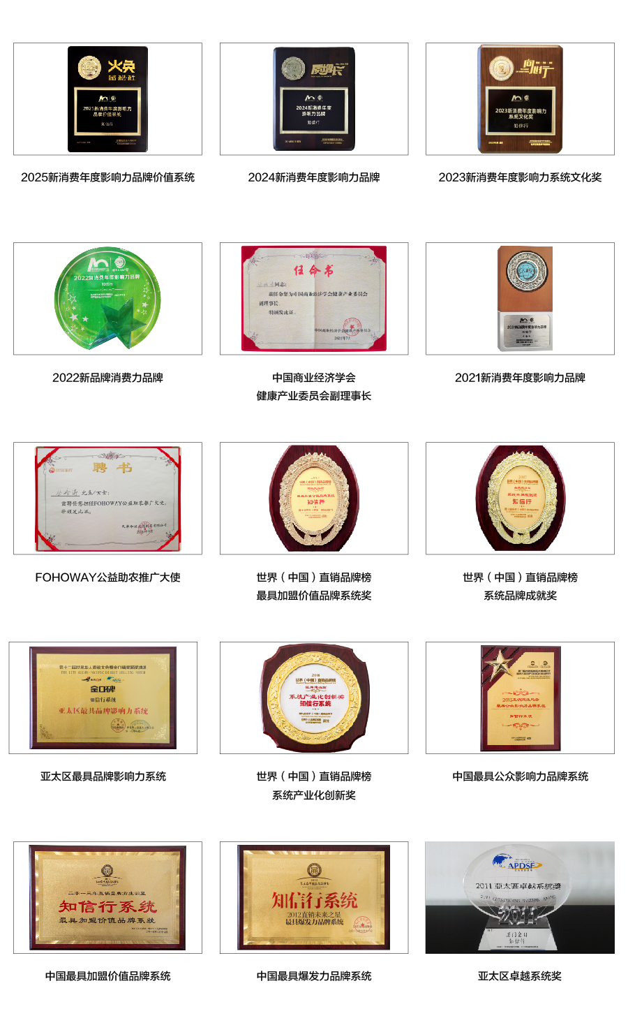 榮譽(yù)_畫板 1.jpg